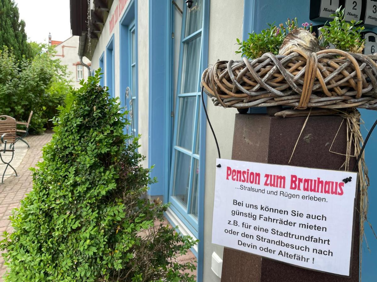 Pension Zum Brauhaus 施特拉尔松德 外观 照片