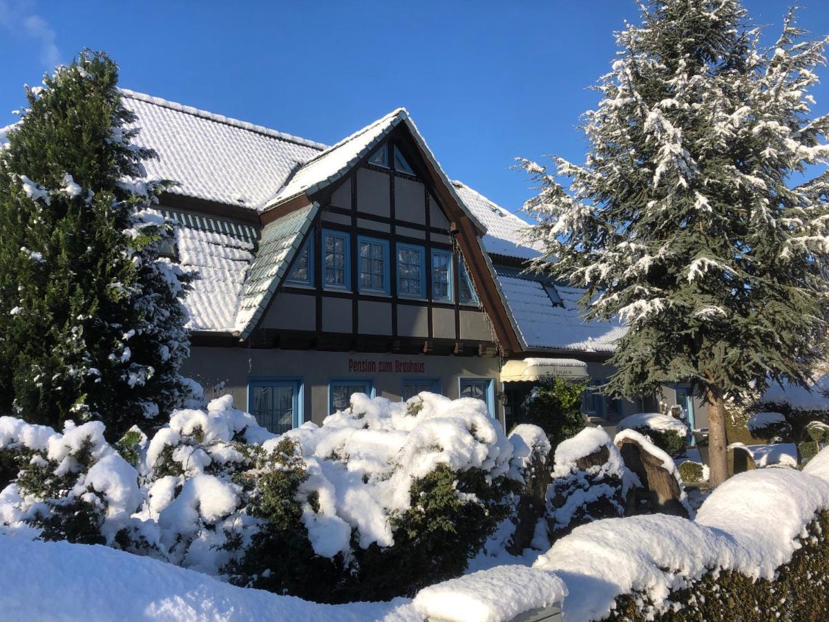 Pension Zum Brauhaus 施特拉尔松德 外观 照片