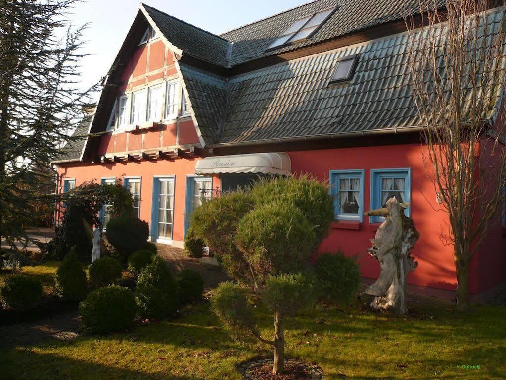 Pension Zum Brauhaus 施特拉尔松德 外观 照片
