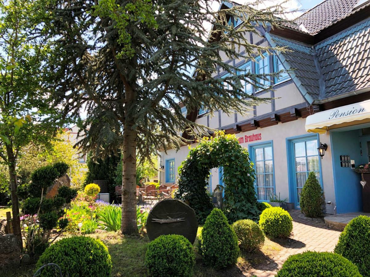 Pension Zum Brauhaus 施特拉尔松德 外观 照片