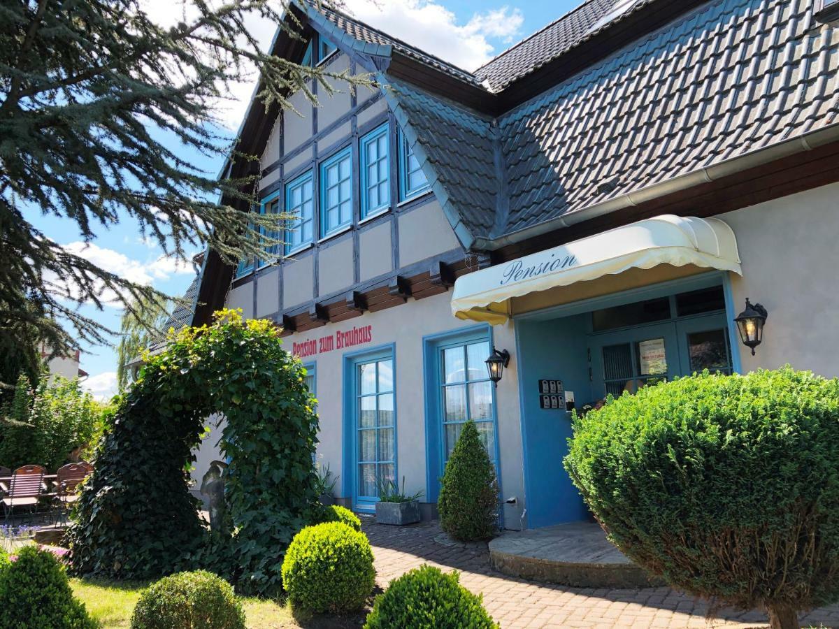 Pension Zum Brauhaus 施特拉尔松德 外观 照片