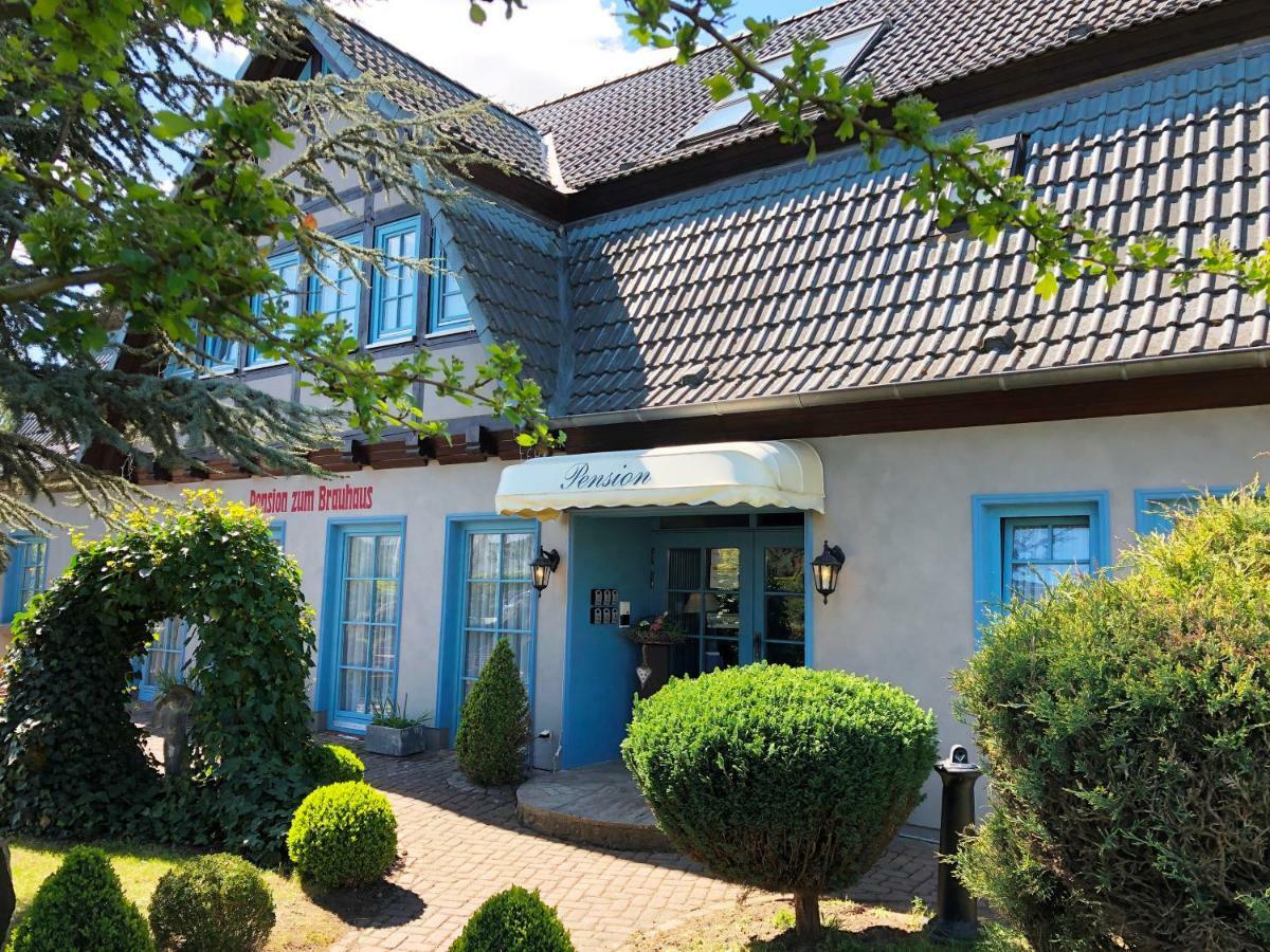 Pension Zum Brauhaus 施特拉尔松德 外观 照片