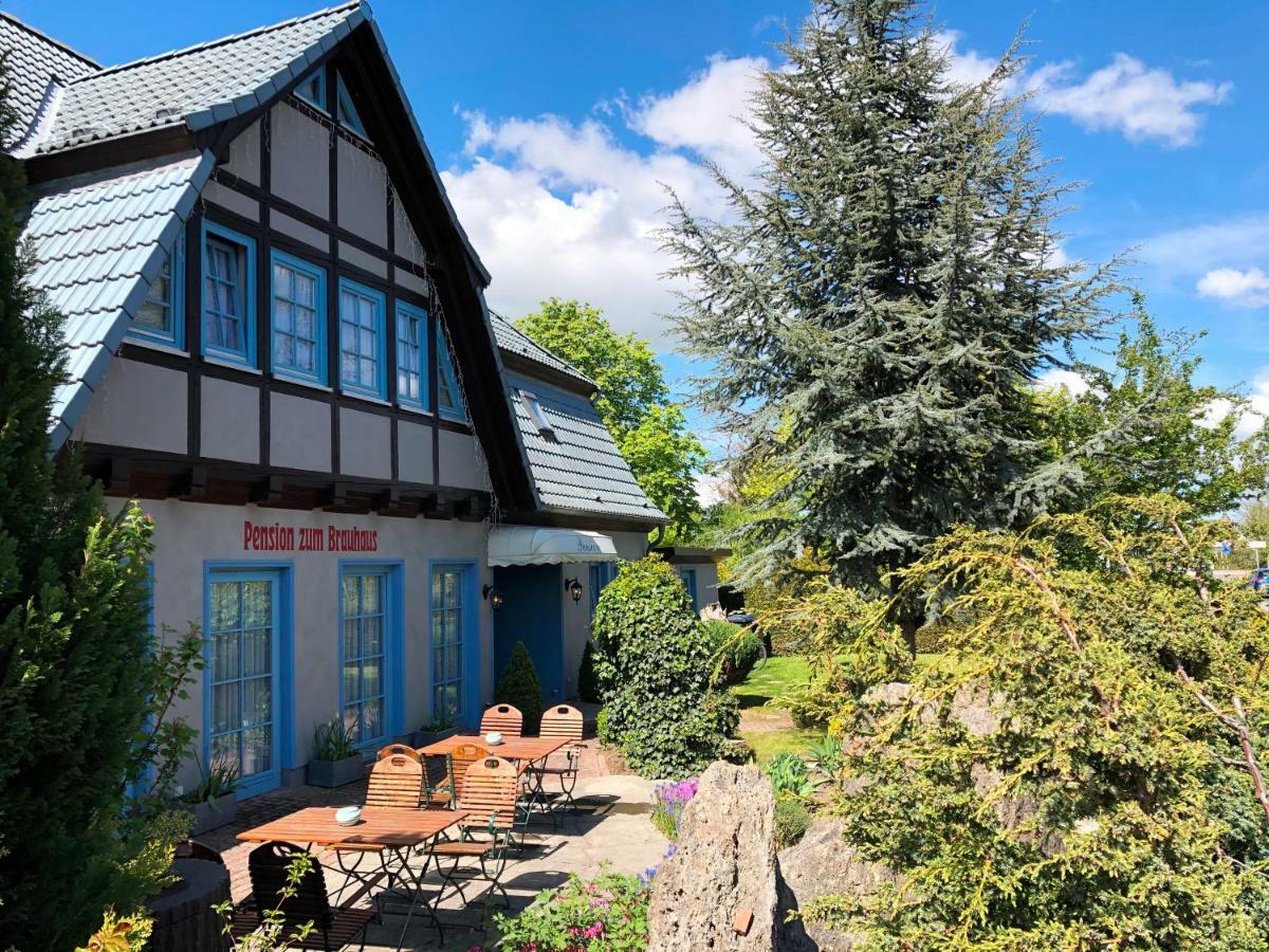 Pension Zum Brauhaus 施特拉尔松德 外观 照片