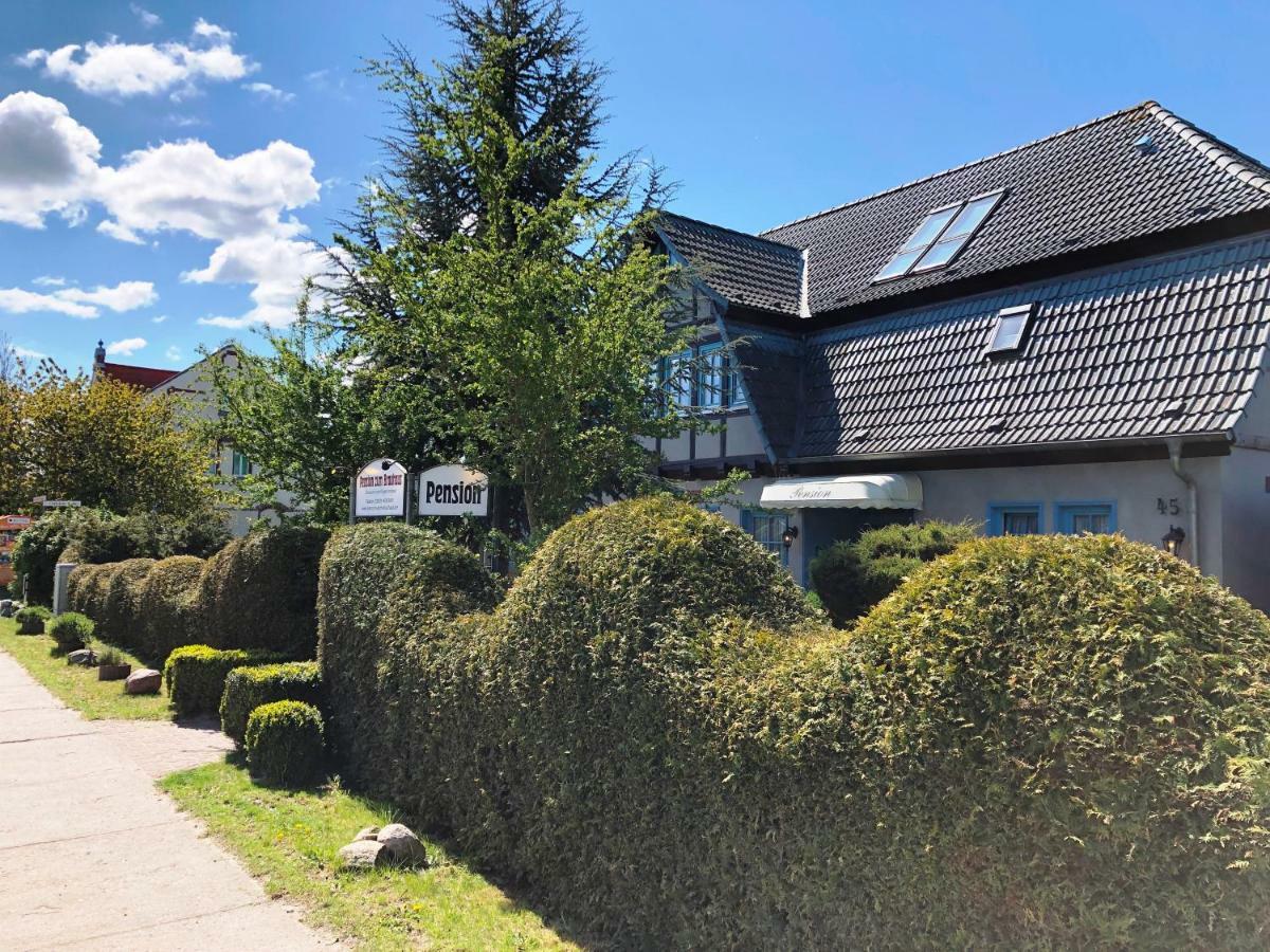 Pension Zum Brauhaus 施特拉尔松德 外观 照片