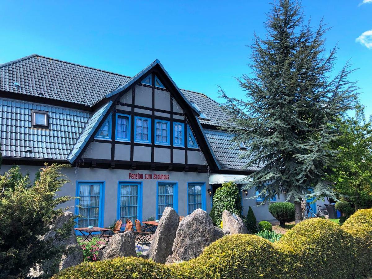 Pension Zum Brauhaus 施特拉尔松德 外观 照片